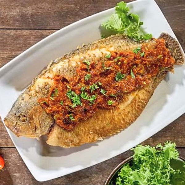 Cá tai bồ giá sỉ