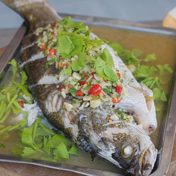Cá chim biển giá sỉ 