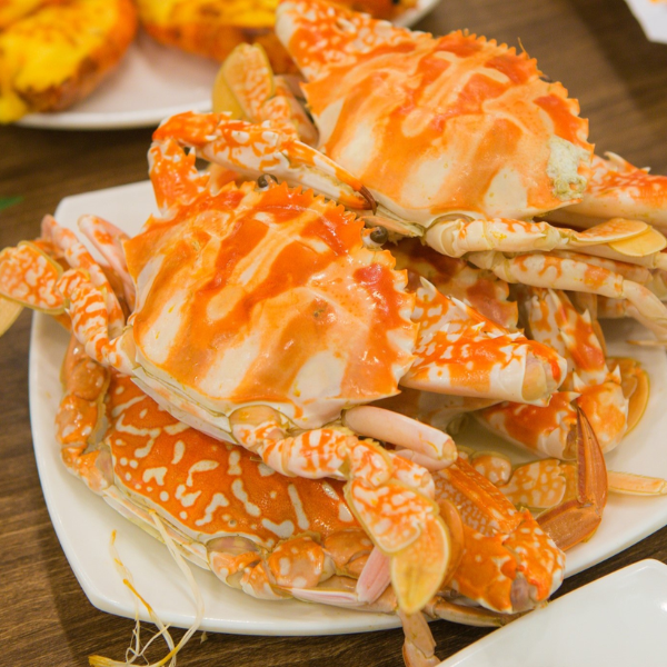 Ghẹ giá sỉ