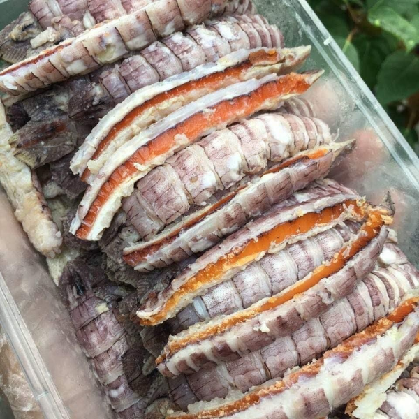 tôm tít trứng sống giá sỉ