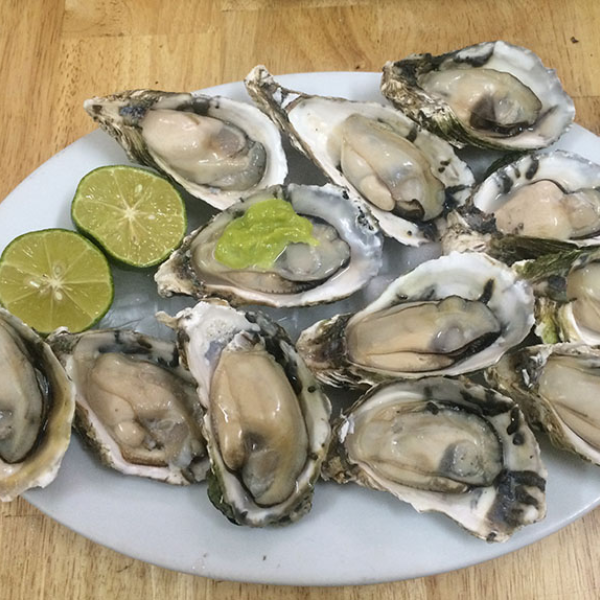 Hàu Hà Lan giá sỉ 
